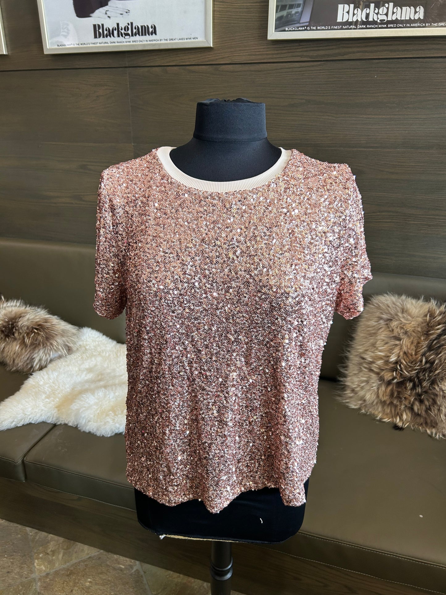 Insight Silver Sequin Short Sleeve Top