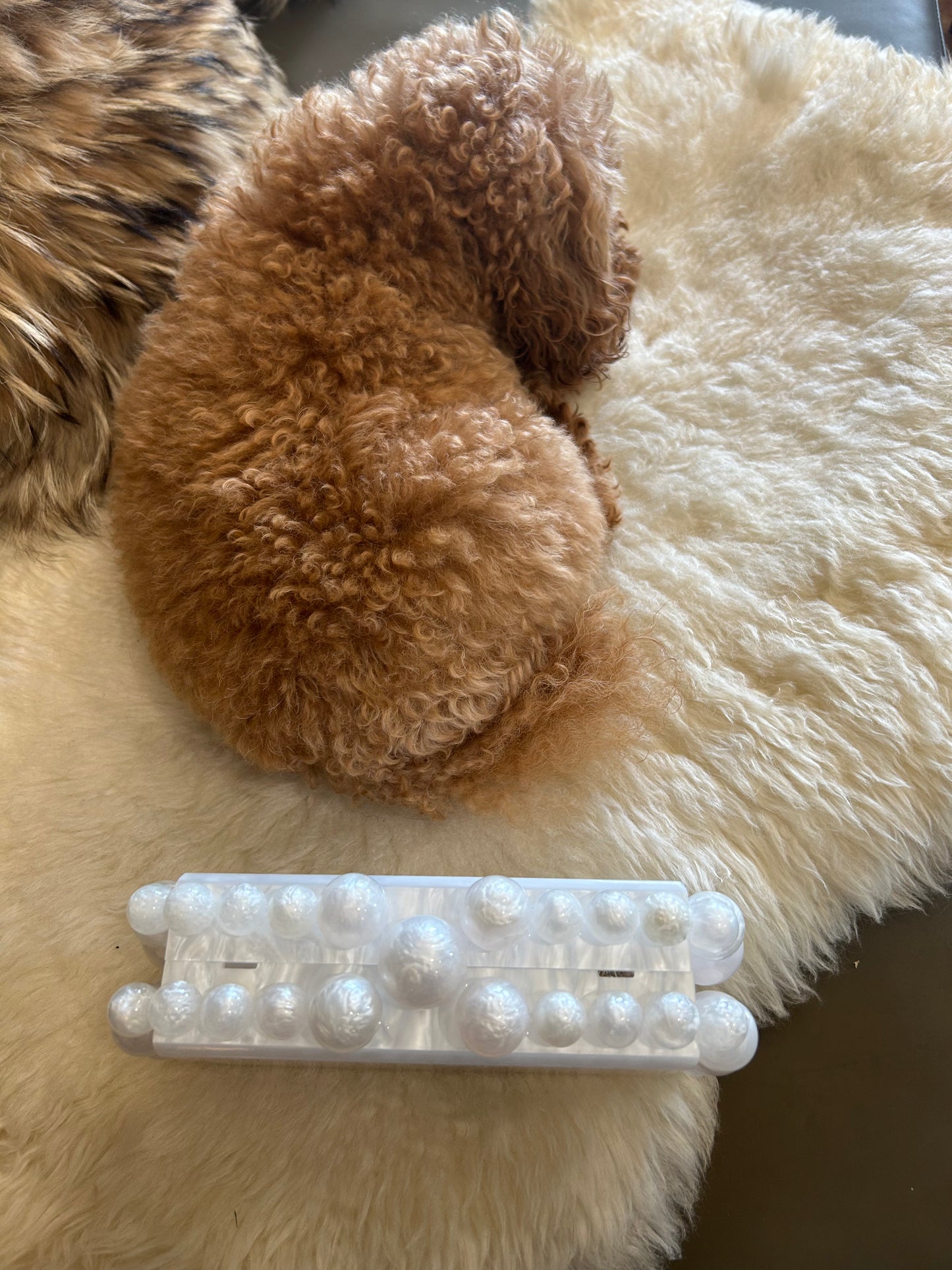 Linny Co Daphne evening bag look