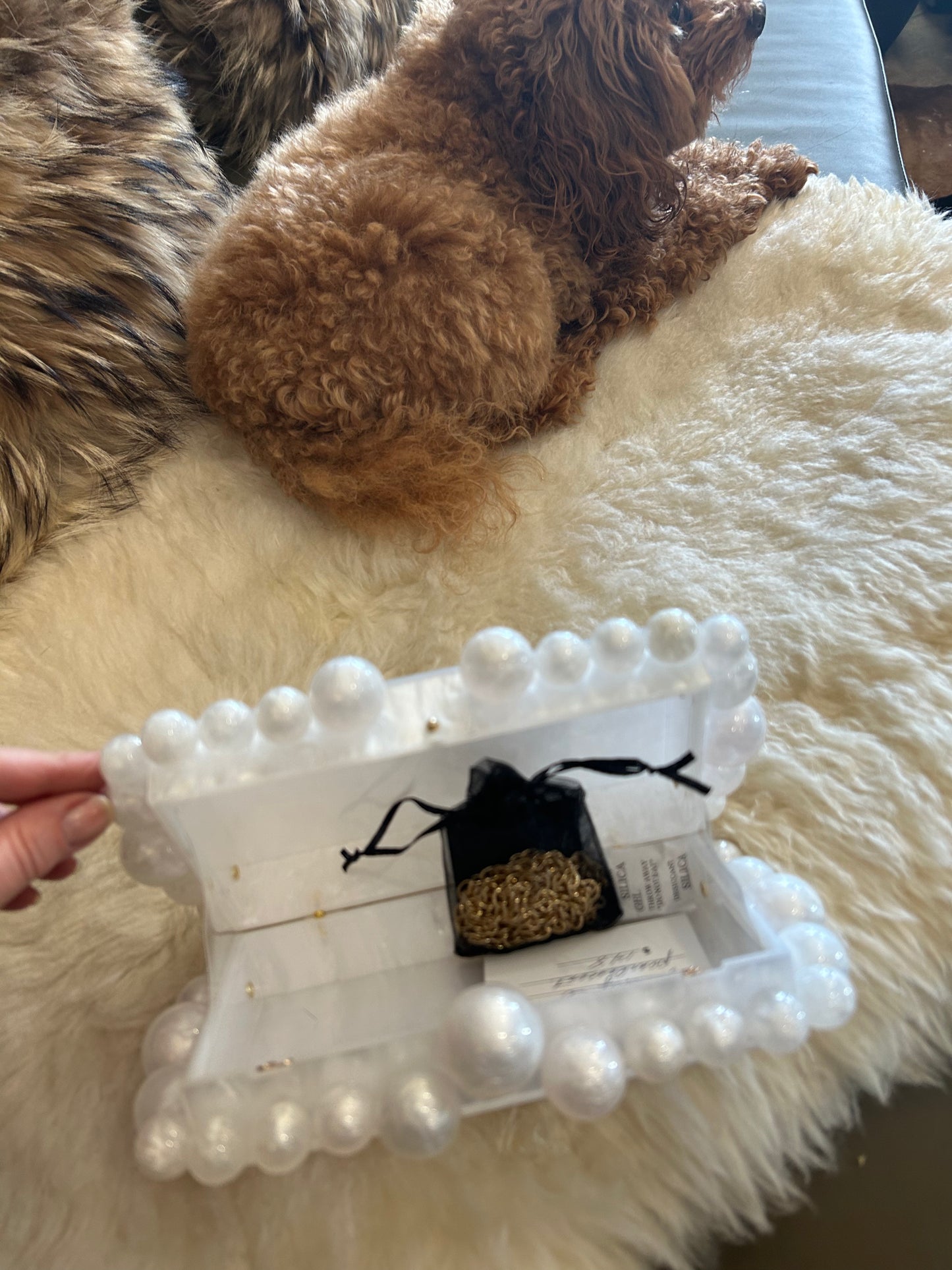 Linny Co Daphne evening bag look