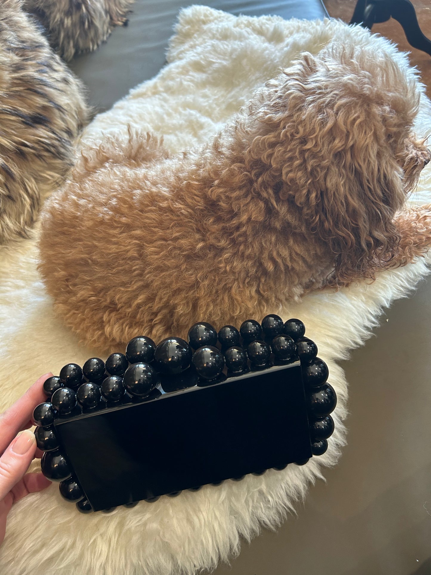 Linny Co Daphne evening bag look
