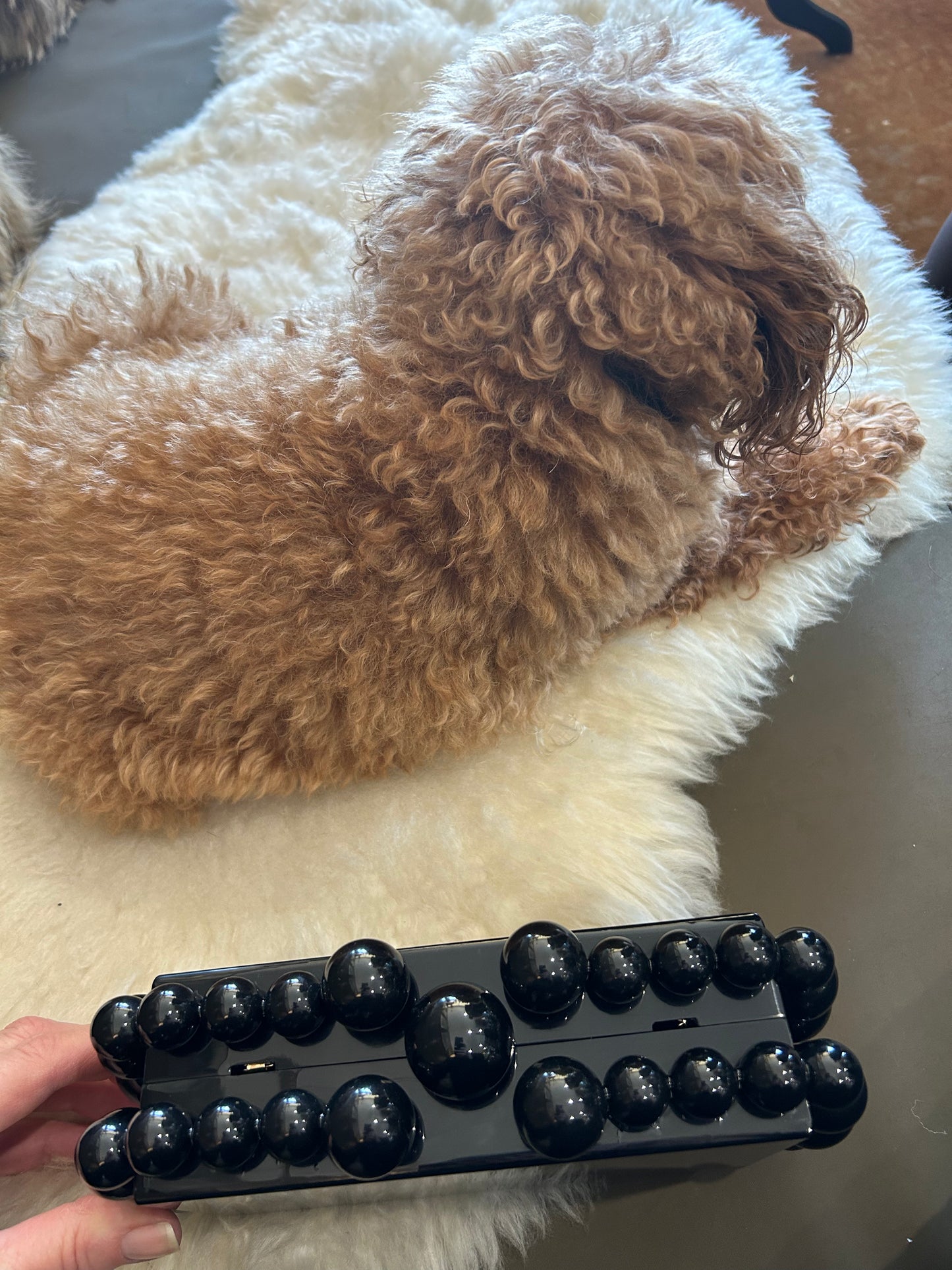 Linny Co Daphne evening bag look