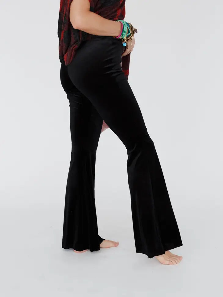 Three Bird Nest Flare Legged Pant Velvet or Solid