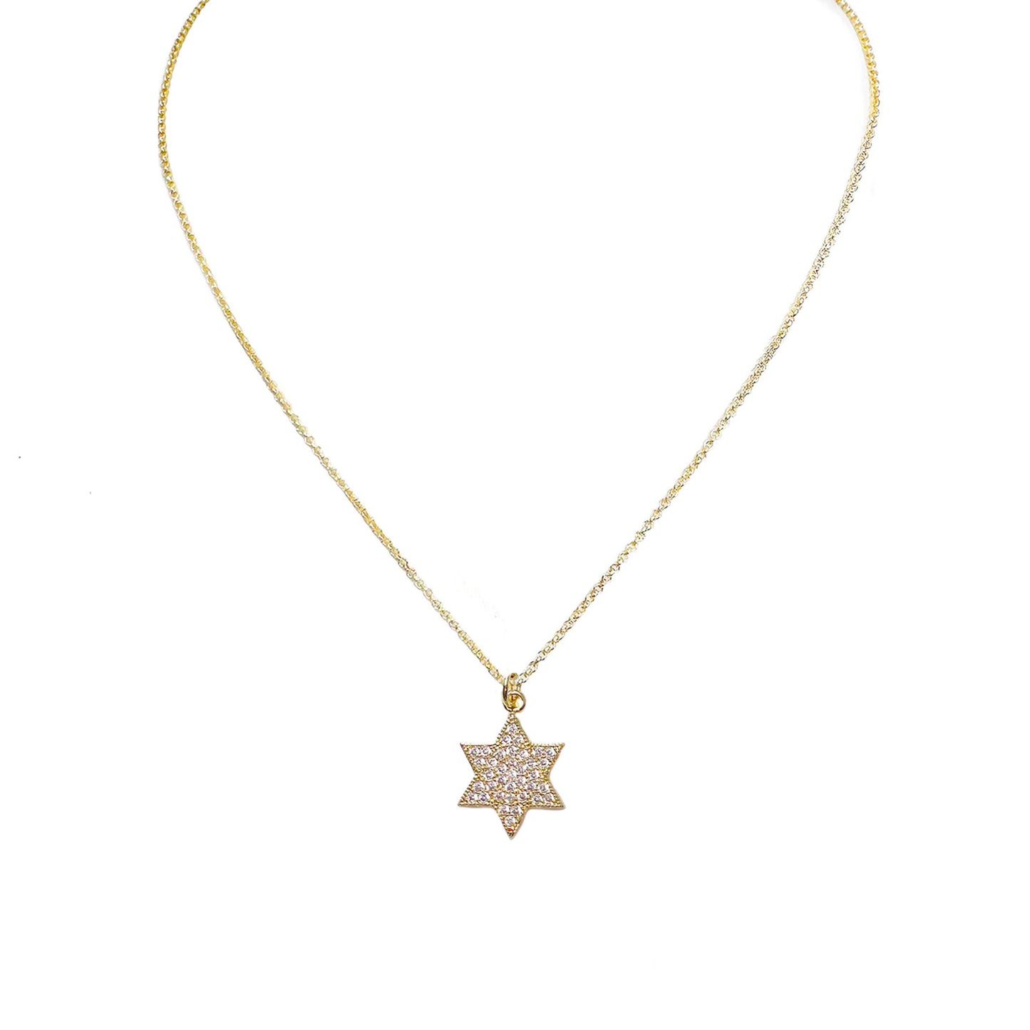 Love, Lisa Amy Stunning Star of David Necklace Jewish Star Silver